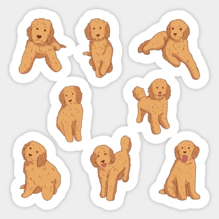 Cute Golden doodle pack Sticker